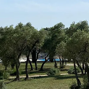 Cadre Splendide Apartment Paradou